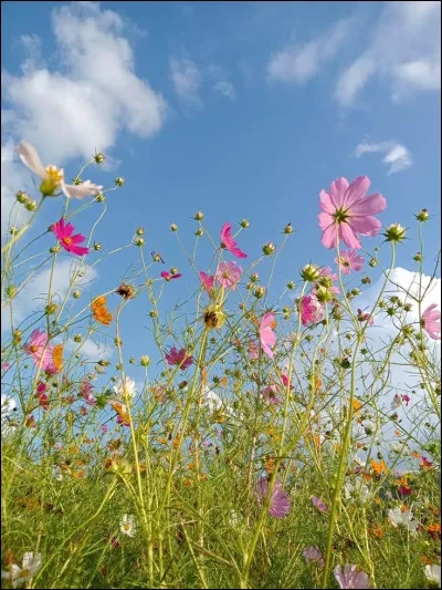 Si tu devais choisir une couleur pour décrire ta personnalité, ce serait