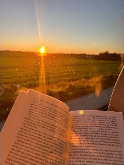 Si on t'observait secrètement pendant une journée, on te verrait