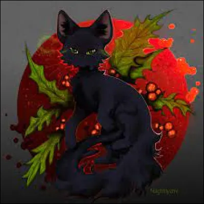 Tu finis par te laisser convaincre. Elle te dit qu'elle se nomme Ombre d'Érable, et qu'elle va t'aider dans cette mission de vengeance. Elle te propose de, premièrement, tuer le guérisseur : cela aura beaucoup d'impact. il de Geai va être mort demain à l'aube. Mais il y a toujours Feuille de Lune.