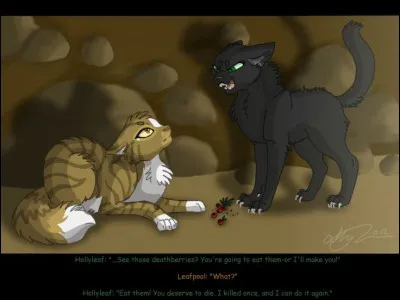 Tu vas, finalement, lors de la nuit dans le camp du Tonnerre. Tous dorment. Tu vas dans la tanière du guérisseur à pas de loup... Tu sautes sur il de Geai. Tu gagnes enfin la petite bataille. Mais lorsque tu te retournes, derrière toi, tu aperçois Feuille de Lune qui te regarde avec horreur. Que fais-tu ?