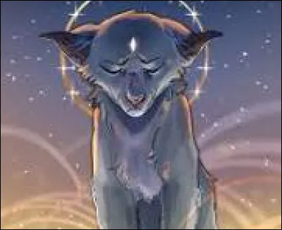 Quel chef préfères-tu ?