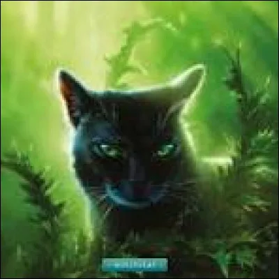 Créons une histoire ! Tu es une jeune femelle nommée Petite Nuit, tu es la fille de Fleur de Bruyère et Pelage de Poussière. Un jour, ta mère accepte que tu ailles te chercher une proie... le premier jour où tu vas manger du gibier ! Il y a une grande file devant la pile. Que fais-tu ?