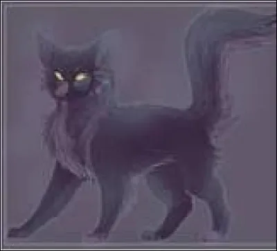 Finalement, une guerrière du nom de Plume de Noisette te laisse une place devant elle, amusée, puis, t'aide à choisir une proie. Il y a un oiseau, un écureuil, une souris et un mulot. Lequel prends-tu ?