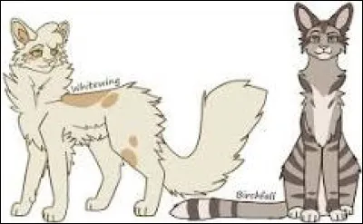 Quelque temps plus tard, la patrouille revient. Étoile de Feu appelle une Assemblée de Clan. Nuage de Givre, ta sur, et Nuage de Renard, ton frère, deviennent des guerriers sous le nom de Brume de Givre et Patte de Renard. Quelle est ta réaction ?