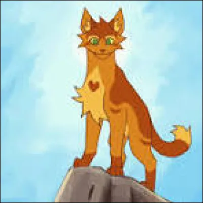 Finalement, à la fin du baptême de guerriers, Étoile de Feu décide de te nommer apprentie. Nuage de Nuit est ton nouveau nom, et avant de recevoir ton mentor, tu y penses...