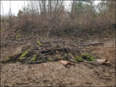 Qu'est-ce qu'un hibernaculum ?