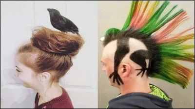 Ton coiffeur a raté ta coiffure. Quelle est ta réaction ?