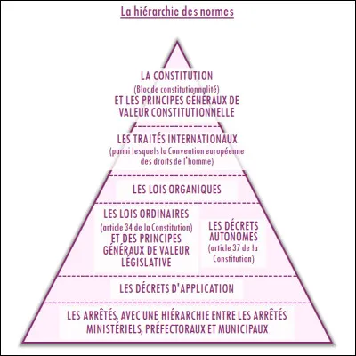 Premier cas d'application : Une loi qui modifie la Constitution est...