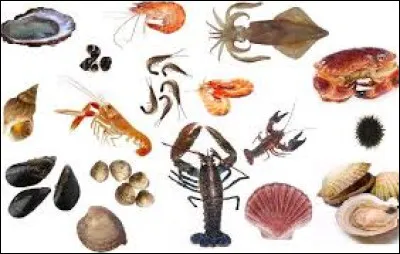 Quelle branche de la zoologie est consacrée à l'étude des mollusques ?