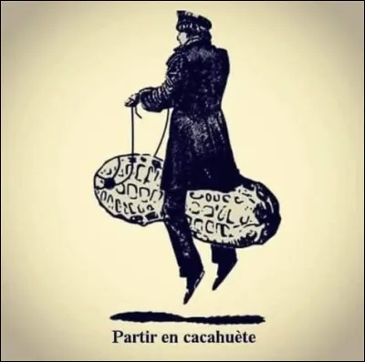 Quand on dit d'une personne qu'elle part en cacahuète :