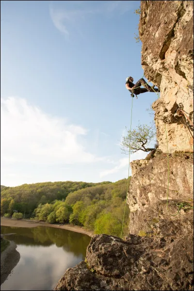 Parmi ces animaux nocturnes, lequel est un excellent grimpeur et se nourrit principalement de fruits et de feuilles ?