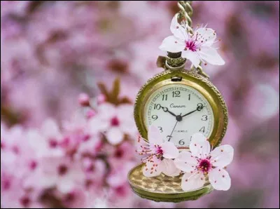 Qui a écrit "Le Temps des amours" ?