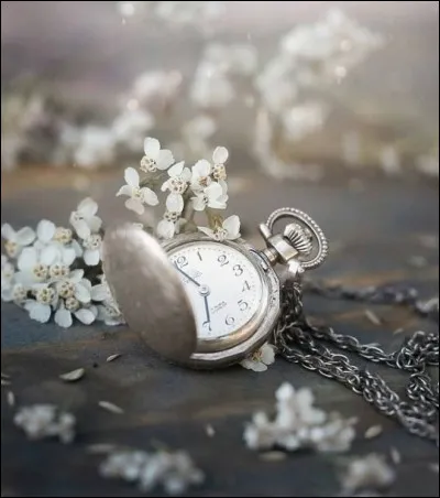 À qui appartient la chanson "Le Reste du temps" ?