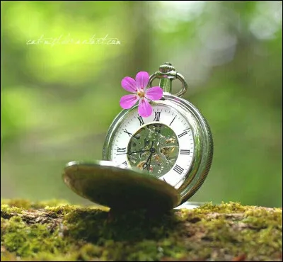 Et enfin d'après un vieux dicton, le temps...