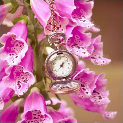 Que Dalida nous chantait-elle ?