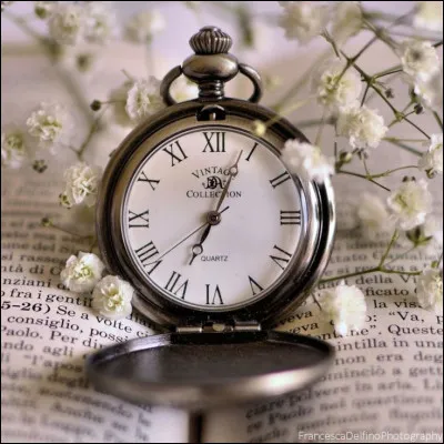 Qui a écrit ''À la recherche du temps perdu" ?