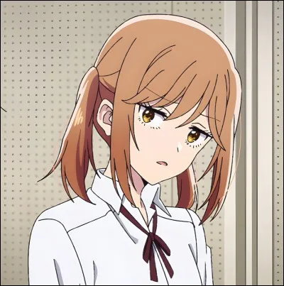 Dans quel animé n'y a-t-il pas de guilde ?