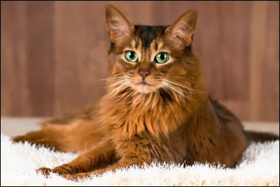 Quel sera son endroit préféré ?