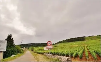 Où se situent les communes viticoles suivantes : Volnay, Gevrey-Chambertin ou Nuits-Saint-Georges ?