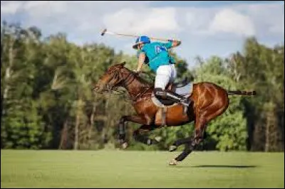 Quel est le nombre de joueurs dans une équipe de polo ?