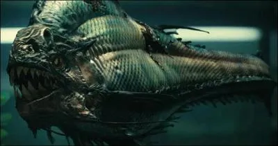 Comment les piranhas ont-ils survcu dans leur grotte ?