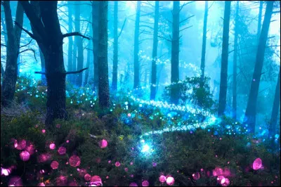 Tu te tiens devant une immense forêt enchantée, où chaque sentier semble vibrer d'une énergie différente. Une voix douce murmure que chaque chemin conduit à une rencontre unique avec une créature qui deviendra ton dæmon. Tu ressens une attirance particulière pour l'un des chemins, chacun émettant une énergie distincte et captivante. (1)