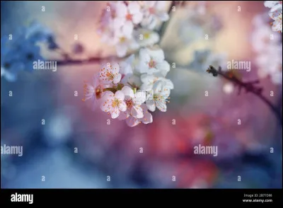 Comment préfères-tu passer une journée libre  ? (3)