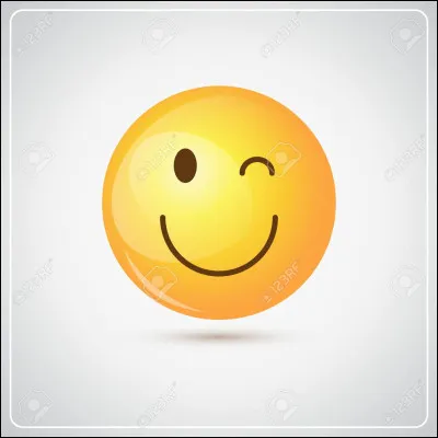 Quelle est ta plus grande qualité ?