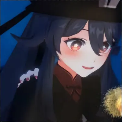 Quel genre musique préfères-tu ?