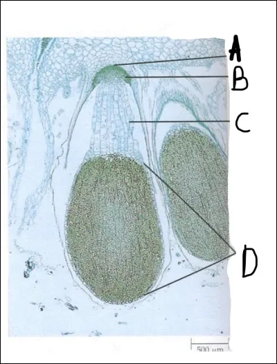 Complétez l'image suivante et donnez-lui un titre.