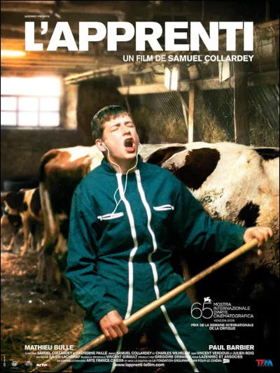 Que préfères-tu faire en temps qu'apprenti(e) ?