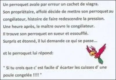 Ar comme Ara. Parmi ces trois espèces de perroquets Ara, retrouvez l'Ara militaire ?