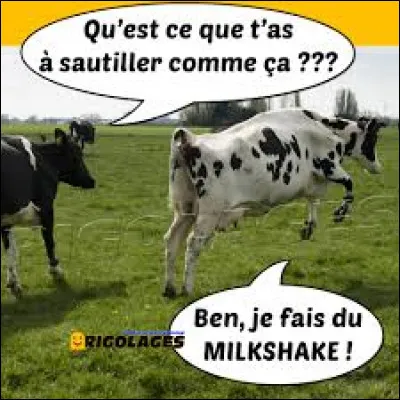 Pourriez-vous trouver parmi ces trois vaches, Azalée de la série télévisée d'animation ''Le Manège enchanté'' ?