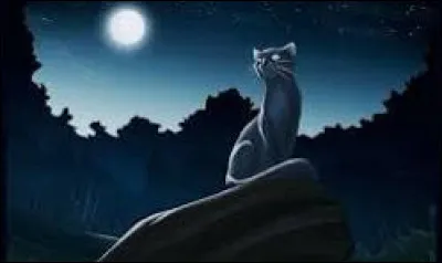 Et parmi ceux-ci, qui préfères-tu ?