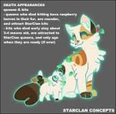 Quel nom préfères-tu ?