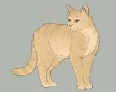 Finalement, c'est Chipie qui vous accompagne. Elle te demande où tu veux aller en premier. Tu réponds...