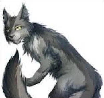 Tu as finalement Tempête de Sable comme mentor. Tu deviens finalement guerrière (enfin). À l'Assemblée, tu rencontres un guerrier qui se nomme Croc de Cèdre. Un chat du Clan de l'Ombre, apparemment. Acceptes-tu de le voir le lendemain, à la frontière ?