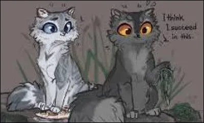 Tu finis par y aller. Tu t'amuses énormément, si bien que tu acceptes de le voir à chaque soir. Un jour, tu te rends compte que tu attends des chatons. Que fais-tu ?