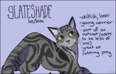 Voici la deuxième, identique à toi. Elle a des traits raffinés, un pelage gris perle tigré de noir et des yeux verts comme la menthe. Un pelage court. Elle a l'air précise, et un tout petit peu orgueilleuse, sans plus. Comment la nommes-tu ? (Imagine les rayures plus sombres et les yeux verts.)