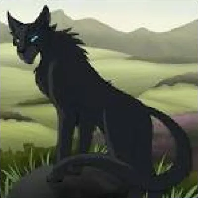 Le prochain, c'est un matou gris très foncé, voire noir aux yeux bleus. Il a l'air d'avoir un caractère sarcastique mais blagueur, et intelligent. Comment le nommes-tu ?