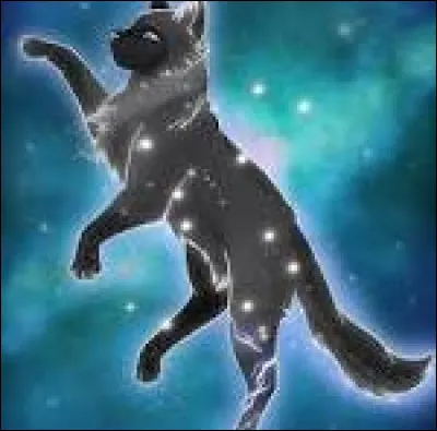 Finalement, ton clan te bannit car ils devinent qui est le père. À la fin de ta vie, tes chatons sont devenus grands, et ton clan s'excuse auprès de toi. Leur pardonnes-tu ?