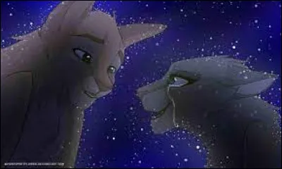 Que fais-tu si ton chef délire complètement et dit que le Clan des Étoiles n'existe plus ?