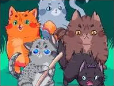 Quel pelage voudrais-tu ?