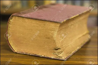 Quel mot d'origine grecque, désignant aujourd'hui un ouvrage, Rabelais utilisait-il dans le sens d'ensemble complet de connaissances ?