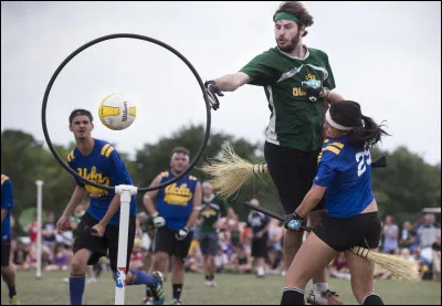 G. Qui a gagné la Coupe du Monde de quidditch de 1966 ?