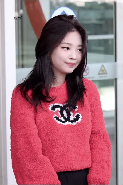 Quels sont les noms des membres de Blackpink ?