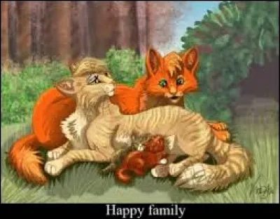 Combien de chatons ont eu Étoile de Feu et Tempête de Sable ?