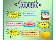 Quiz Un peu de tout sur tout