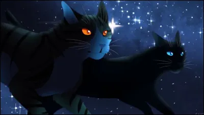 Qui est le compagnon de Feuille de Lune ?