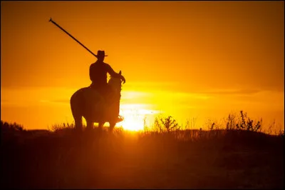 En Camargue, quel est le rôle d'un gardian ?